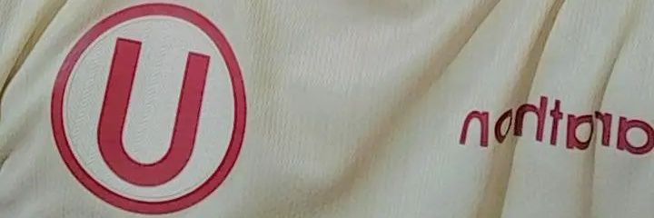 Francisco Rivera Molina banner