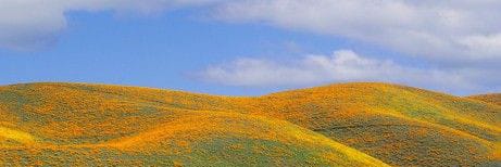 drdevraspandey's profile banner image