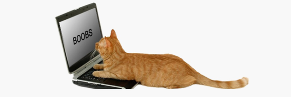 silltorini Profile Banner