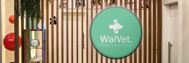 Esther Walther banner
