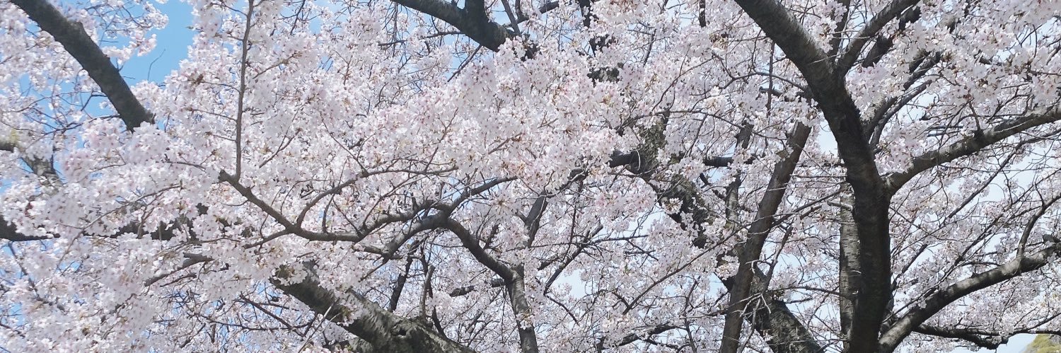 yui_lip's profile banner image