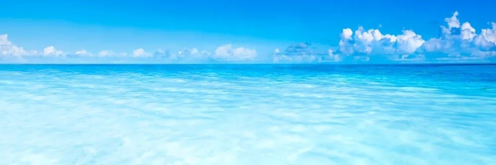 トモジェイ banner