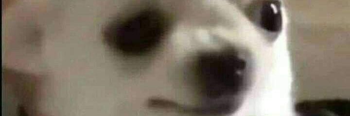 Joel banner