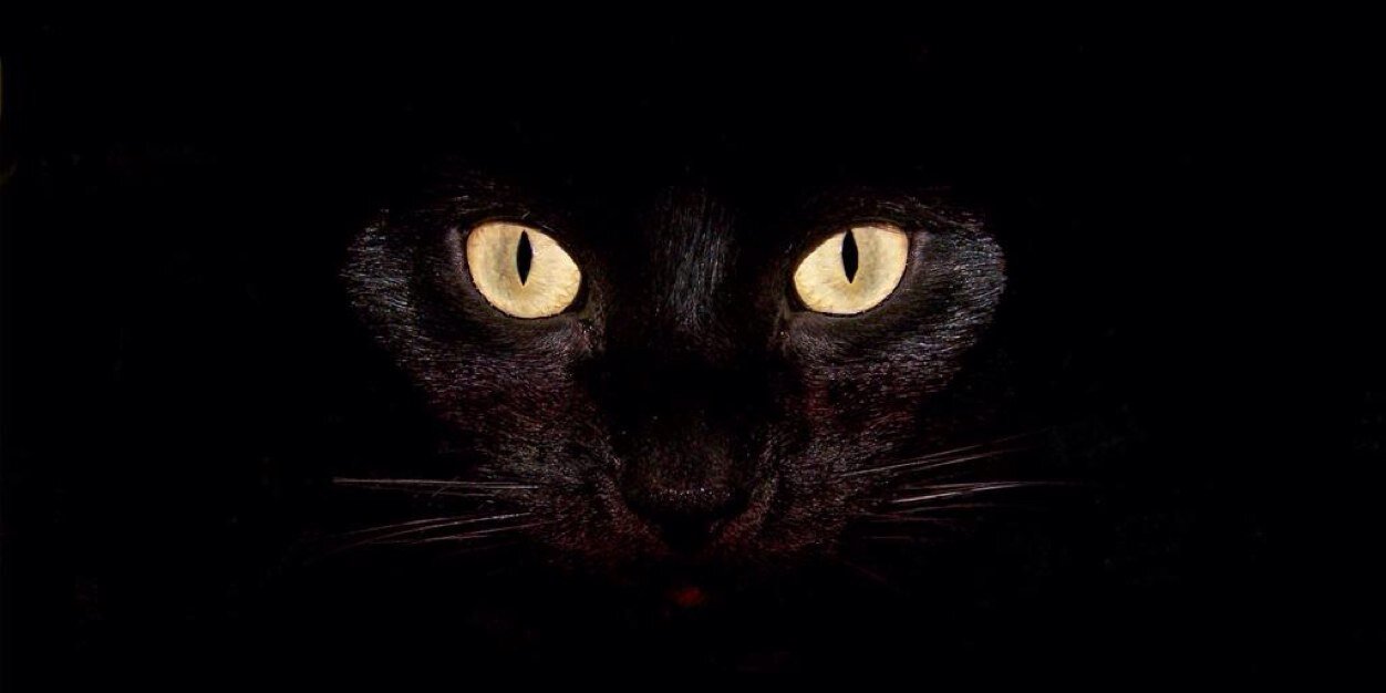 edilsonlima's profile banner image