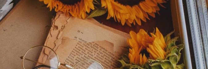 the_Rchives's profile banner image