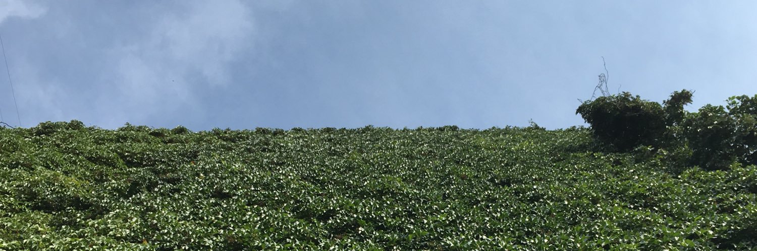 serjb9's profile banner image