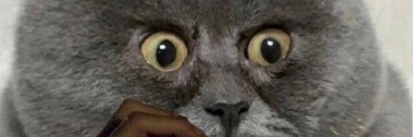 ACuturro46325's profile banner image