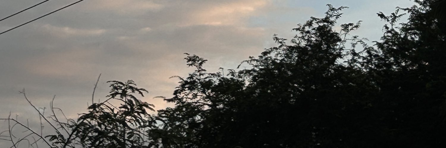 bebell326's profile banner image