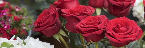 AtKoarBaht20699 Profile Banner