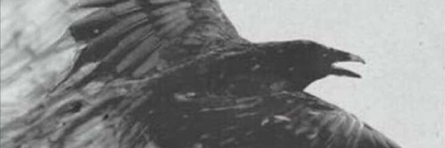 نيفف+ banner