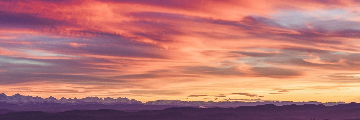 irinaviolette's profile banner image