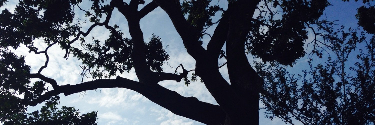 ellietink1's profile banner image