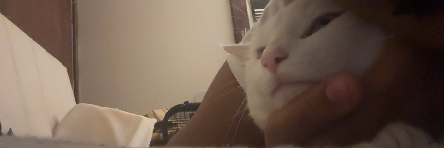 strappinyahoe's profile banner image