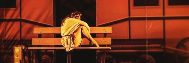 juliawferraboli's profile banner image
