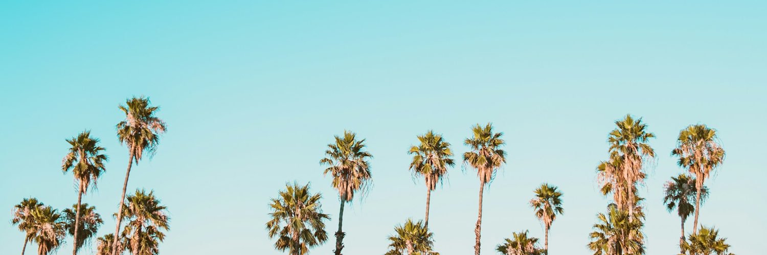 ✦ 8 号 室 ✦ banner