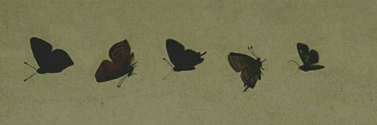 س's banner