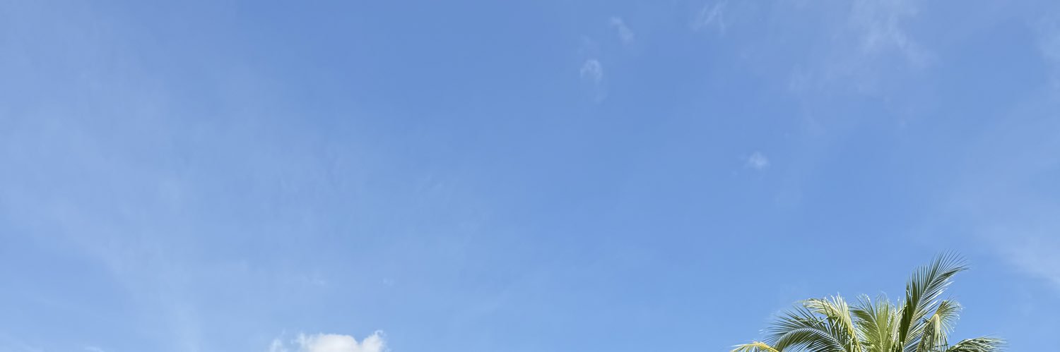 Hoangpt245's profile banner image