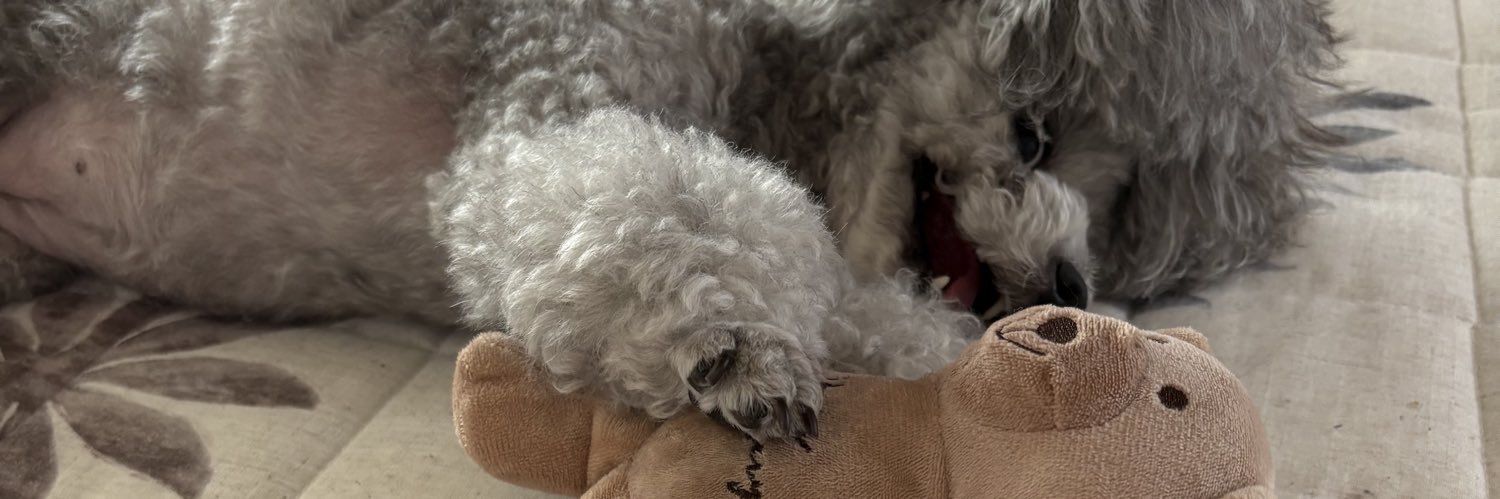 ふにゃんともり🏮 banner