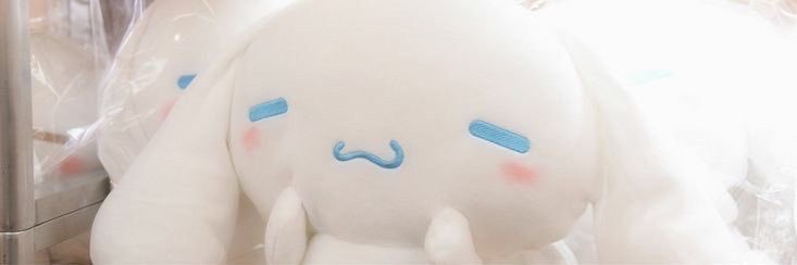 りさ🥟 banner