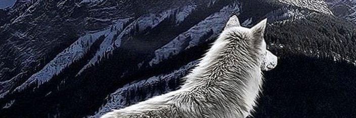 lulidao68's profile banner image