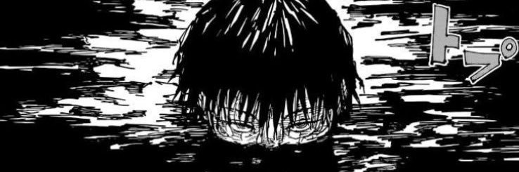 Toji Fushiguro (MULTI-MUSE) banner