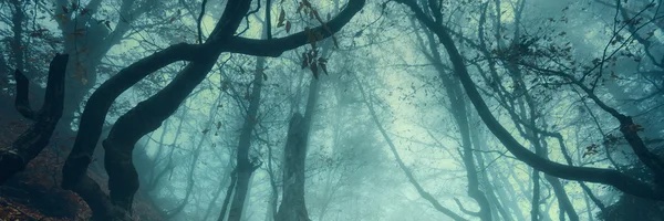 BlastedHeath62's profile banner image