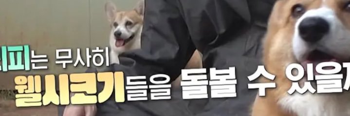 자연눈물's banner
