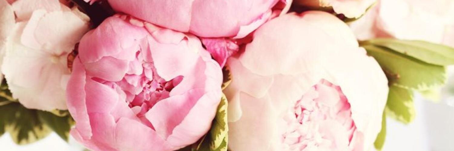 SaraJG_'s profile banner image