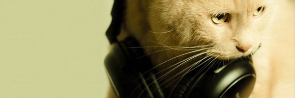 troubledoll Profile Banner