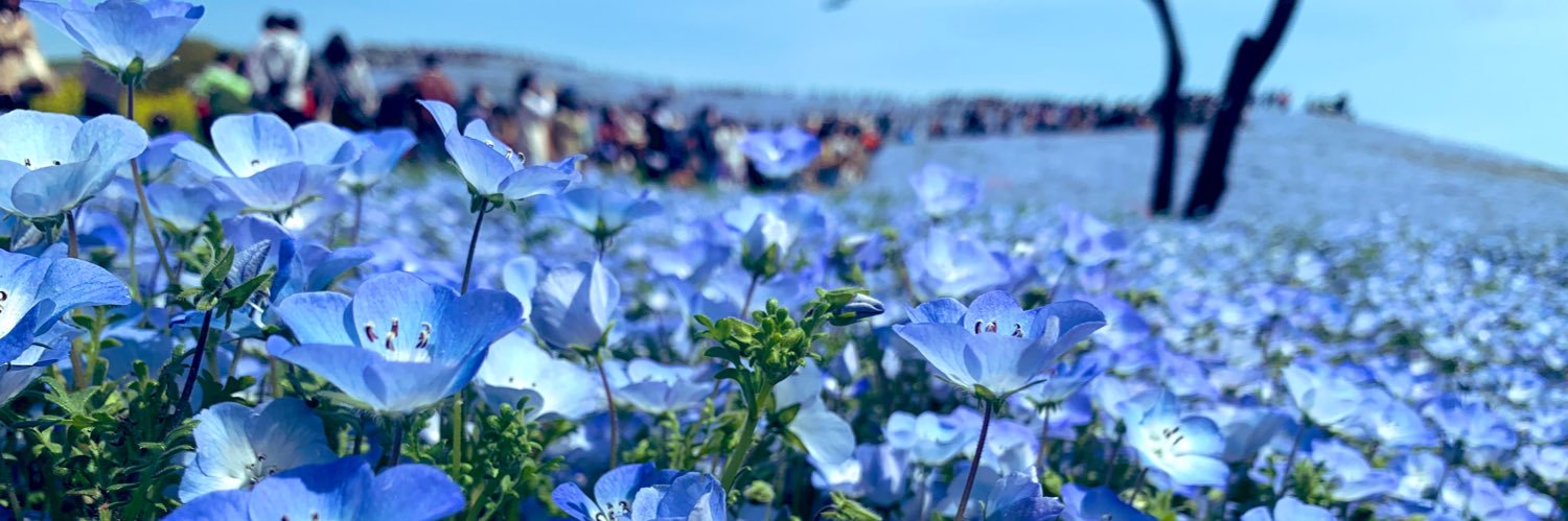 ウニ banner