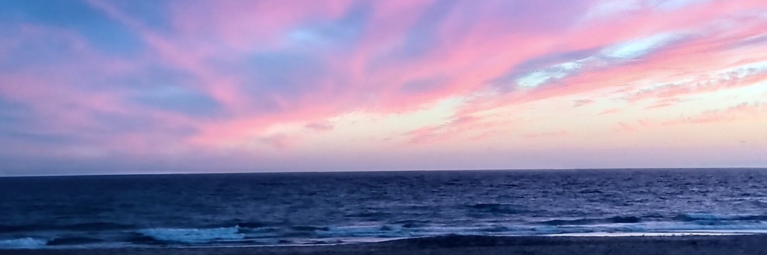 feko_n1's profile banner image