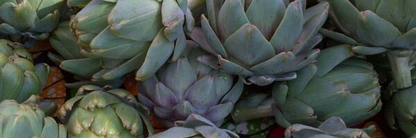 serena4pr Profile Banner