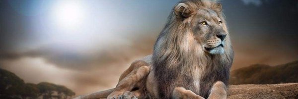 ro_mirae Profile Banner