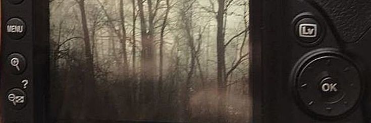 ༺♰ julia's banner