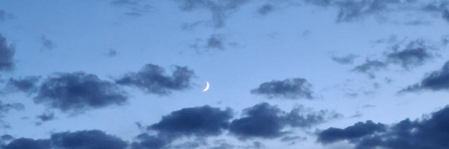 Max_M0_'s profile banner image