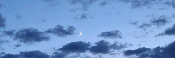 Max_M0_ Profile Banner