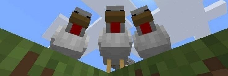 geewaynose's profile banner image