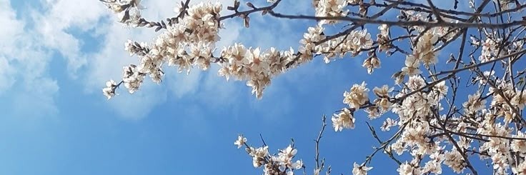 funncha_'s profile banner image