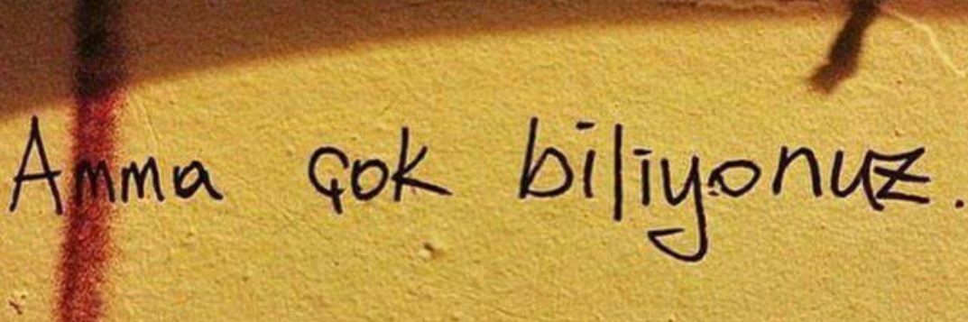 hatice_oznur's profile banner image