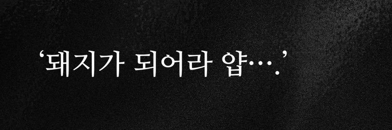 삼호 banner