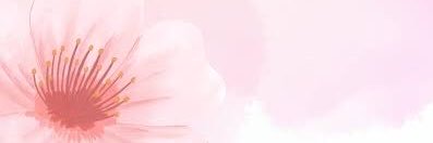 ameliarossett's profile banner image