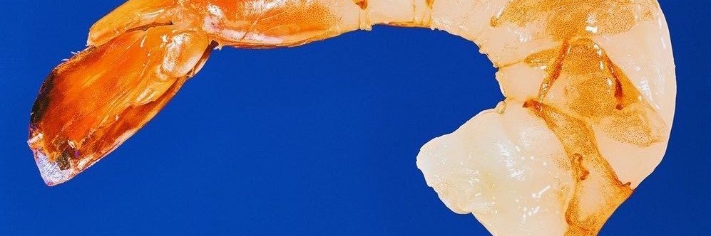 balkansugar's profile banner image