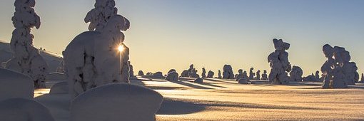 cedric_val31812's profile banner image