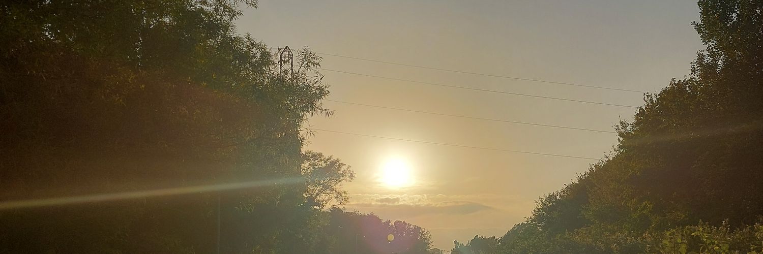 Mooshroom banner