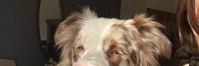 𝓔𝓶𝓲𝓵𝓮 ᐧ˚₊*̥ᐧ.ᐧ banner