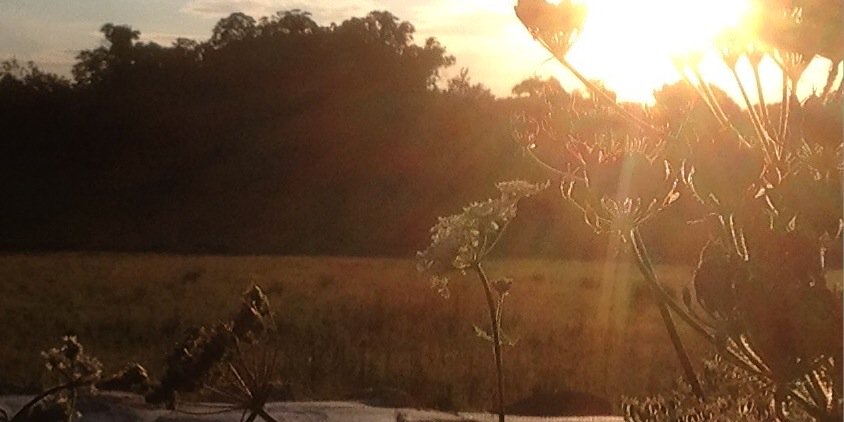 Rwardle25's profile banner image