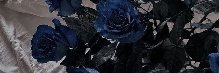 Levi • ୧⁠(⁠ ⁠ಠ⁠ ⁠Д⁠ ⁠ಠ⁠ ⁠)⁠୨ banner