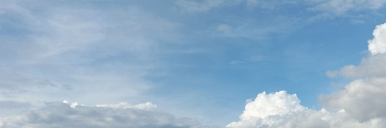Max Koravich banner