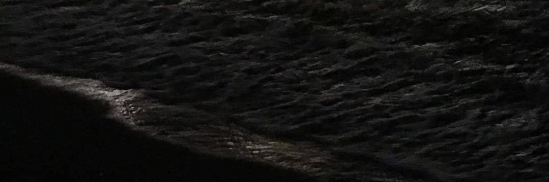 white_tuips's profile banner image