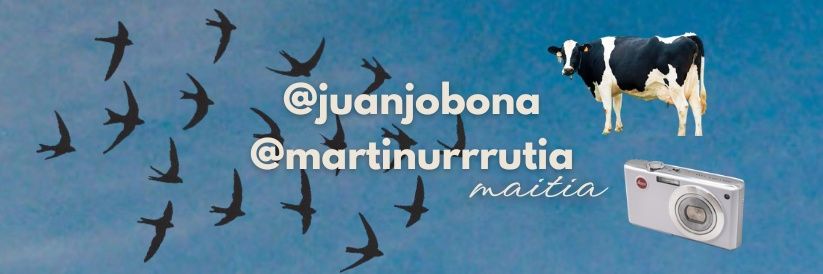 june^^𓅨🌷 banner